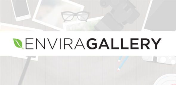 Envira Gallery Pro WordPress Plugin